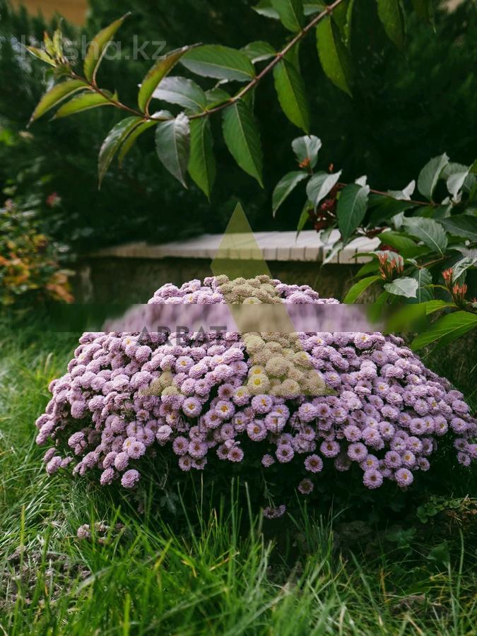 Фото Квартира, 2 комн, 66 м², 1/3 эт., 2020 г.п.