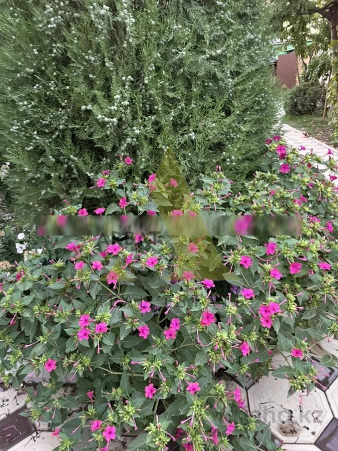 Фото Отдельный дом, 5 комн, 230м²