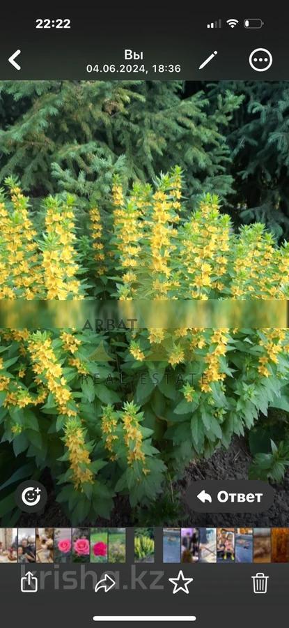 Фото Отдельный дом, 5 комн, 230м²