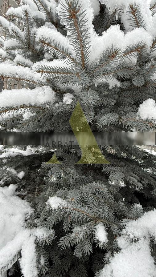 Фото Отдельный дом, 6 комн, 180м²