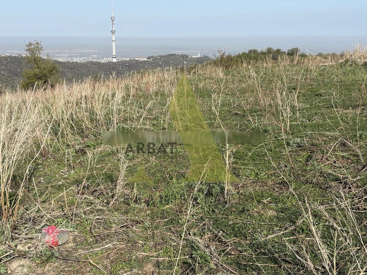 Фото Участок