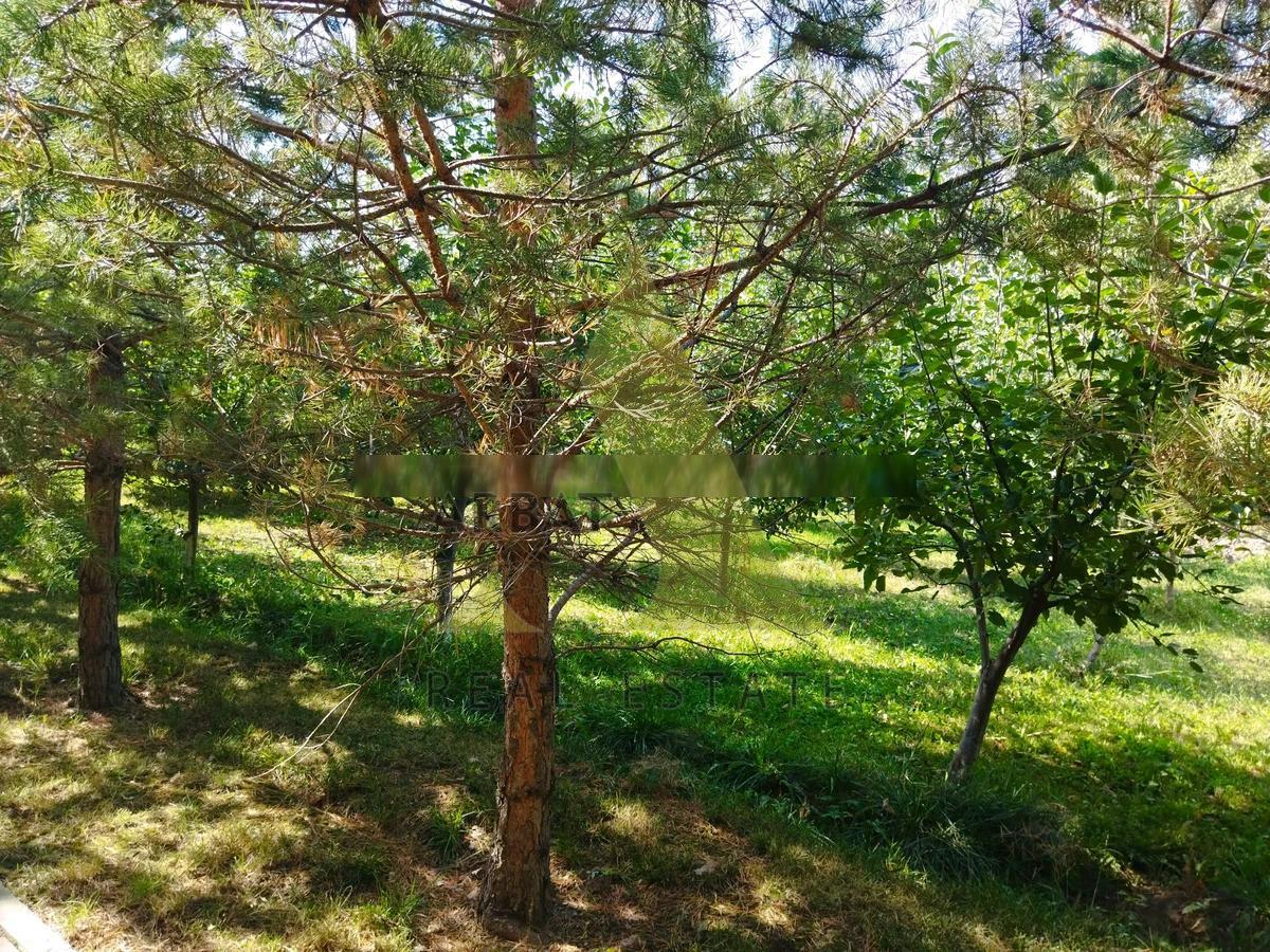 Фото Отдельный дом, 10 комн, 1200м²