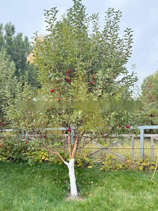 Фото Отдельный дом, 8 комн, 1300м²