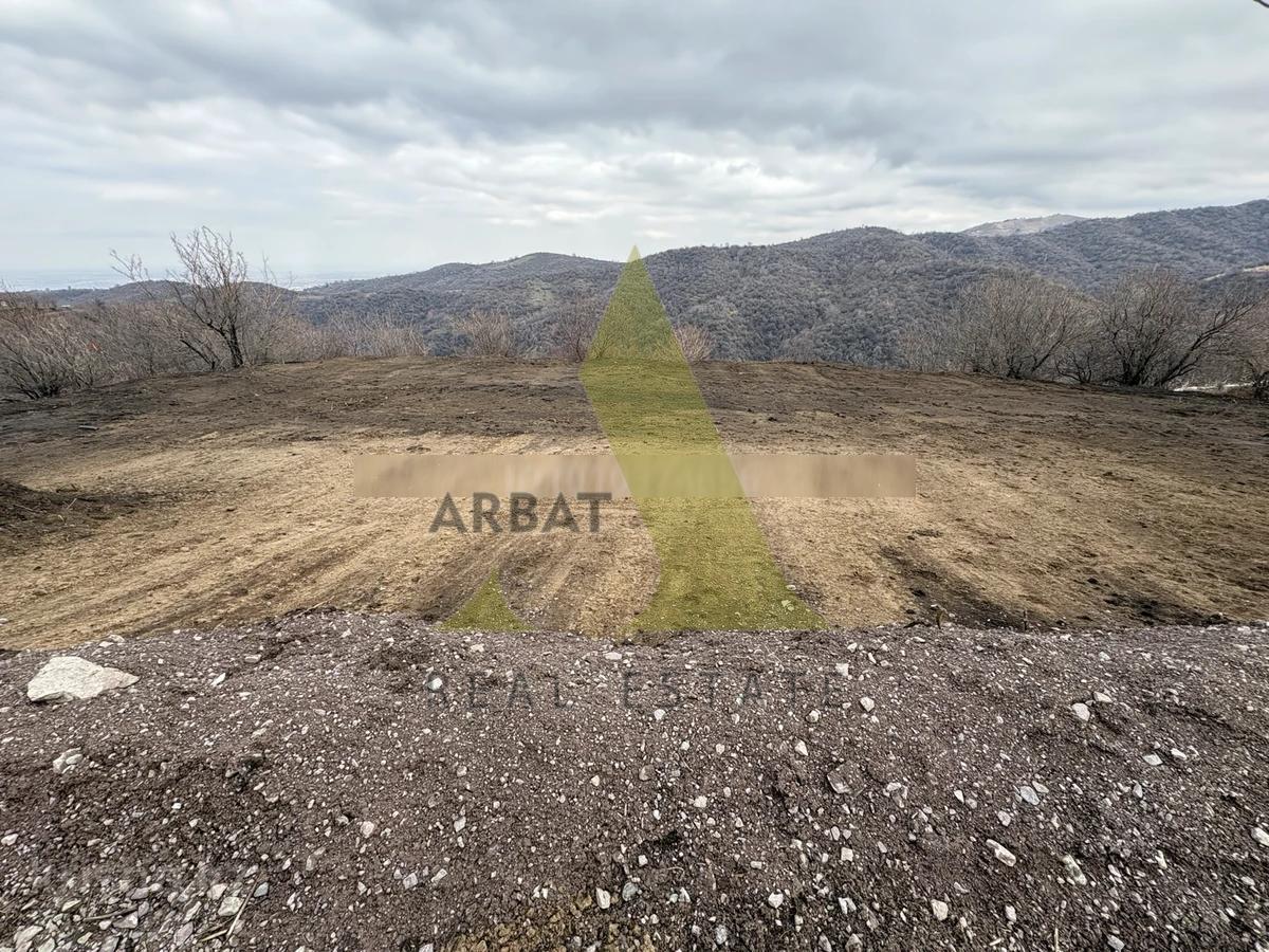 Фото Участок