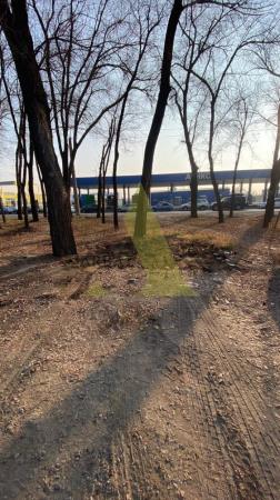 Фото Участок