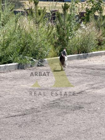 Фото Участок