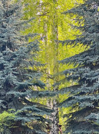 Фото Отдельный дом, 9 комн, 903м²