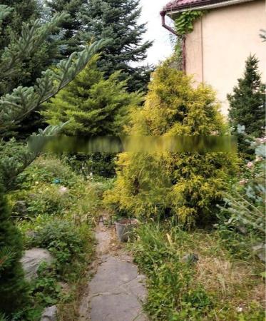 Фото Отдельный дом, 6 комн, 200м²