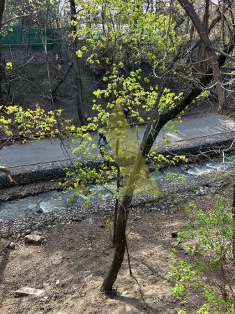 Фото Отдельный дом, 10 комн, 1000м²