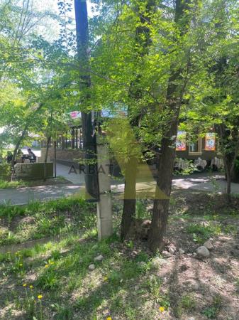 Фото Свободное назначение, 350 м²