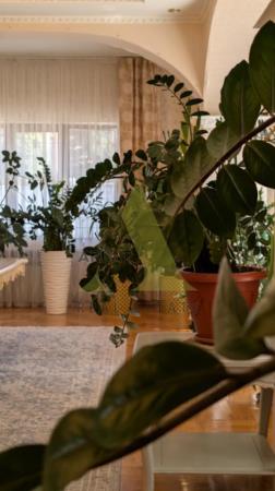 Фото Дом, 10 комн, 950м²