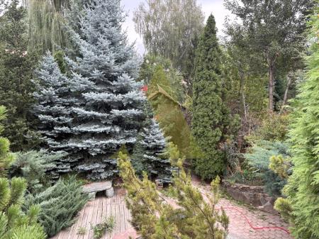 Фото Участок
