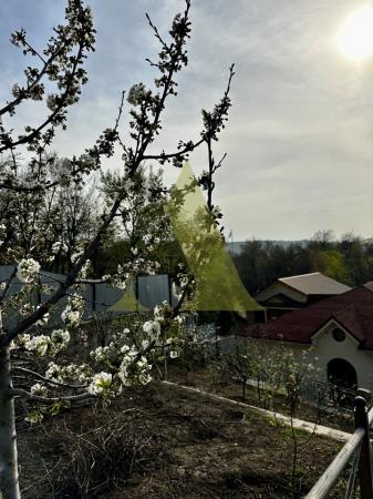 Фото Отдельный дом, 10 комн, 1000м²