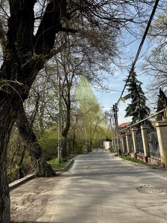 Фото Отдельный дом, 10 комн, 1000м²