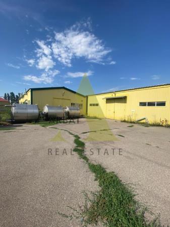 Фото Свободное назначение, 5600 м²
